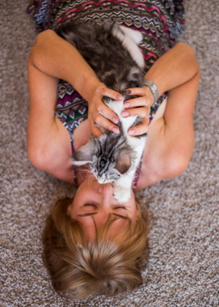 Reiki animal healing