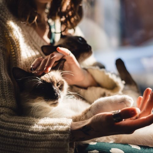 distant Reiki sessions